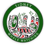 Sidney Whale Watching
