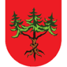 Urząd Miejski w Siedliszczu
