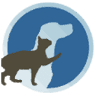 Signal Hill Pet Hospital