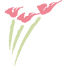 Silbernagl Gärtnerei