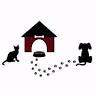 Silk Veterinary Hospital