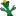 Silly Cactus Inc