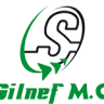 Silnef S.R.L.