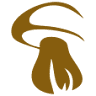 Silva Funghi
