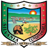 Municipal police Silvania