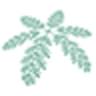 Silver Lace Kyosei Dental Clinic