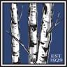 Silver Birches