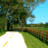 Hiram Trailhead