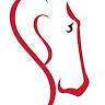 Silver Sage Equestrian