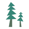 Silver Spruce Montessori School