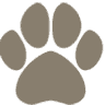 SIMPAWTICO - DENVER