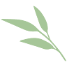 SimpleyNatural Ltd