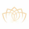 Simplicity Skin Spa & Boutique