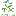 Grecia Forest Reserve - Children's Forest