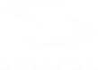 Sinapse Industrial LTDA
