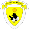 Sindh Academy High School
