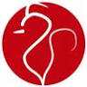 Singulartrips - Luxury Travel Agency & DMC