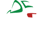 Sinone Auto
