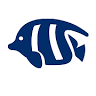 Sioux Falls Aquatics