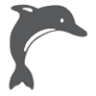 Sistemas Delfin
