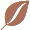 Skin Wellity
