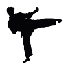 Skinner's Martial Arts