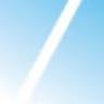 Skylight Services