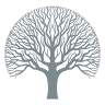 SkyOak Capital