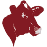 butchery Mieras
