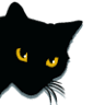 Sly Cat Gallery