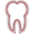 Smart Dental LLC