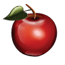 Smith's Markets Inc