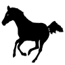 Smokemont Riding Stables