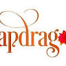 Snapdragon Coffee & Social