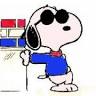 Snoopy's Brick Shop