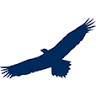 Soaring Eagle PT