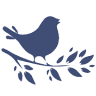 Soar Mill Seeds