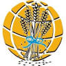 Seed Of Faith International