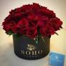 Soho Floral