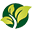 SOHORTA