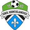 TJ Sokol Horní Bojanovice