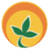 Grupo Solferti
