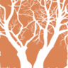 Solista