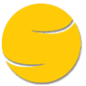 SOLVIS Ltd.