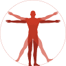 Fysioterapeuterne - Soma Consult