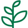 Somdul Agroforestry Home