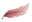 Plume