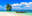 Sonic Travel and Tour