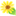 Naturkostladen Sonnenblume