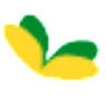 Sonnenklee
